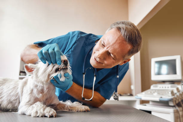 Best Walk-In Emergency Dentist in Grayson, KY